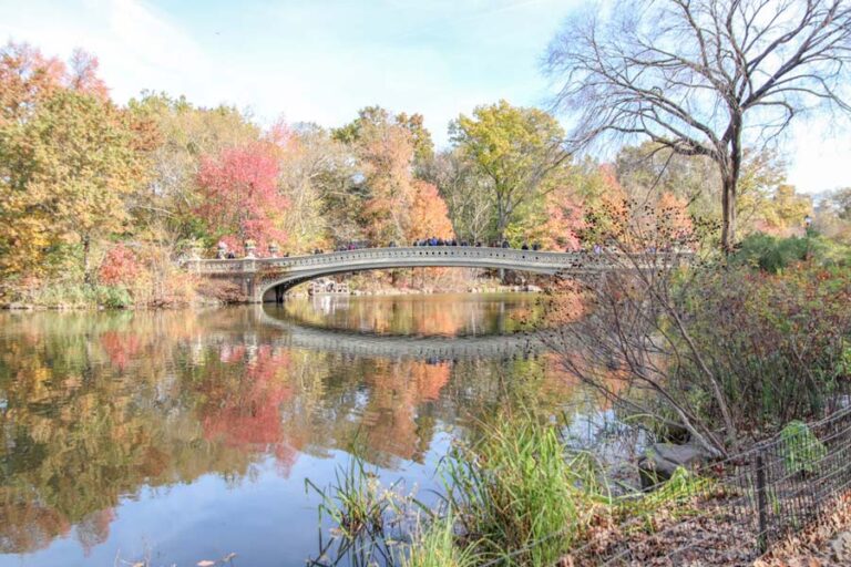 30 Fun Things to Do This Fall in NYC: A Locals Guide - She Discovers ...