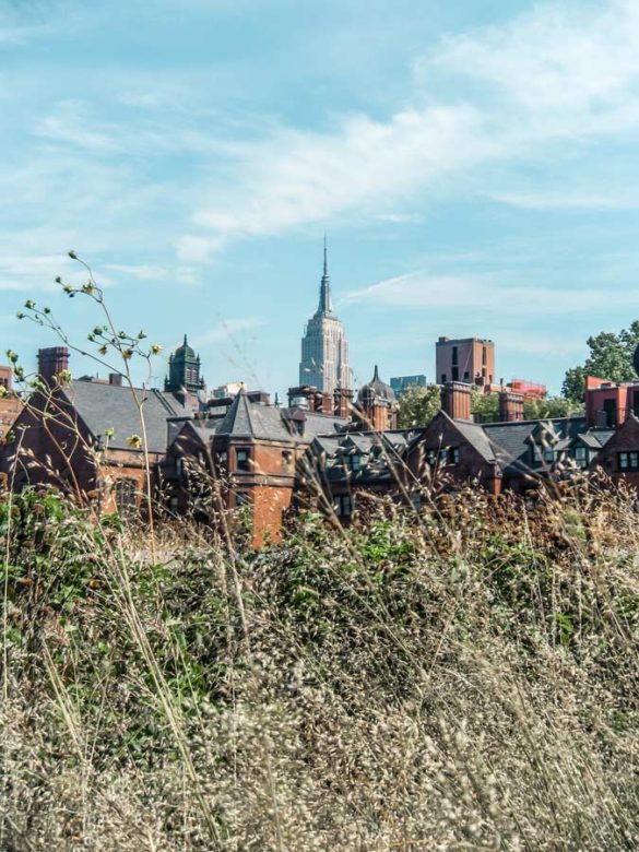 30 Fun Things to Do This Fall in NYC: A Locals Guide - She Discovers ...